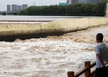 Venezuela expresa solidaridad a China