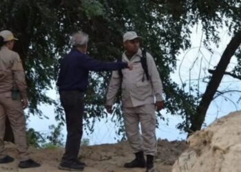 Inparques confirma que El Ávila no sufrió daños estructurales